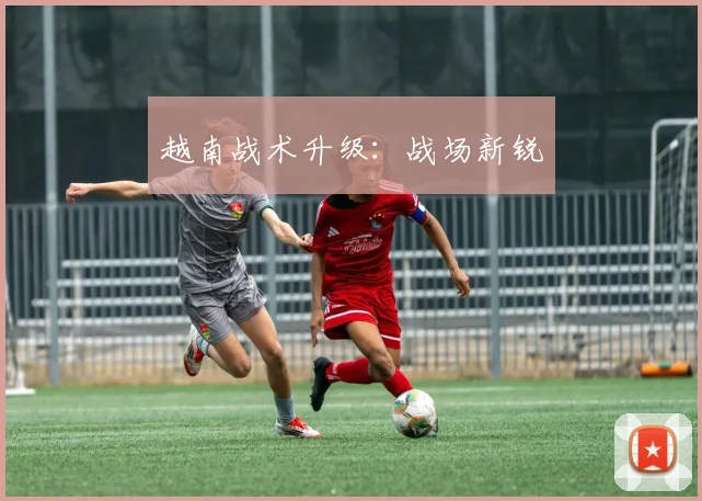越南战术升级：战场新锐