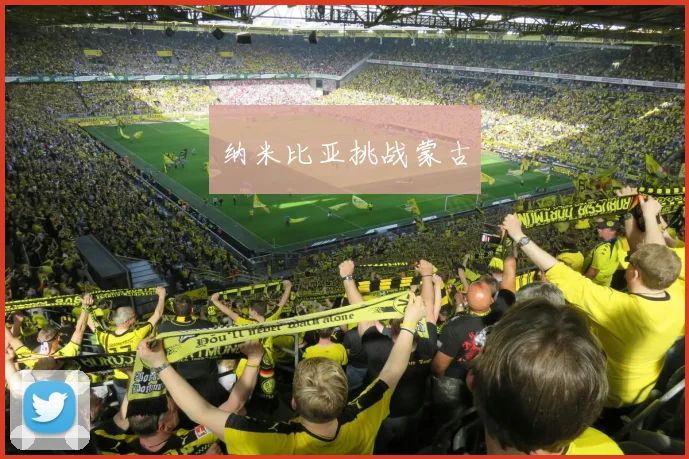 纳米比亚挑战蒙古