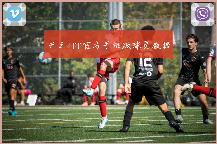 开云app官方手机版球员数据