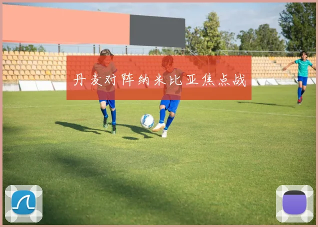 丹麦对阵纳米比亚焦点战