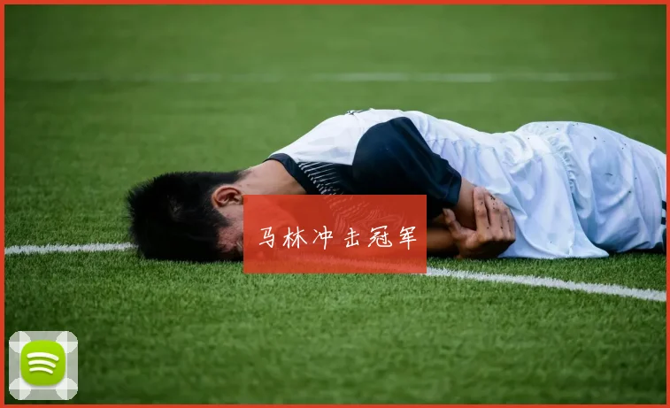 马林冲击冠军