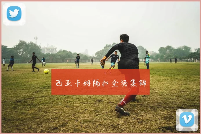 西亚卡姆隔扣全场集锦