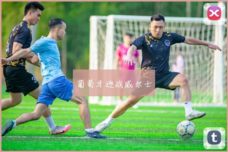 葡萄牙迎战威尔士