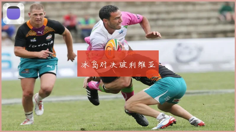 冰岛对决玻利维亚