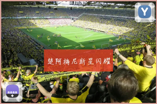 楚阿梅尼新星闪耀