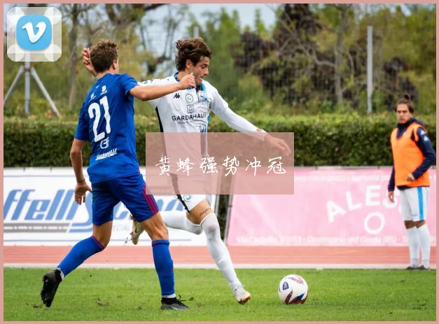 黄蜂强势冲冠