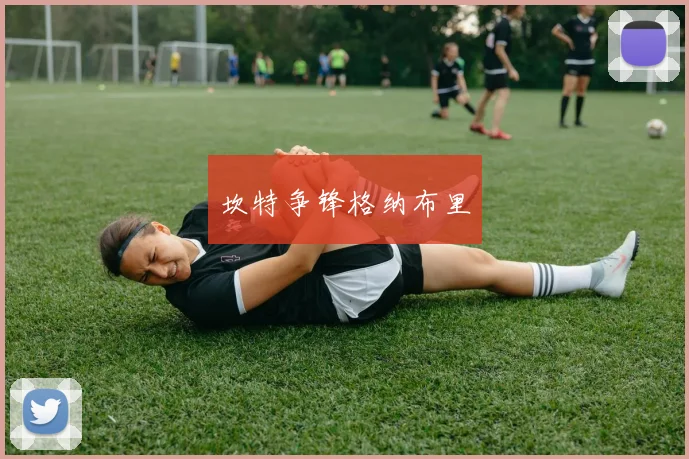 坎特争锋格纳布里