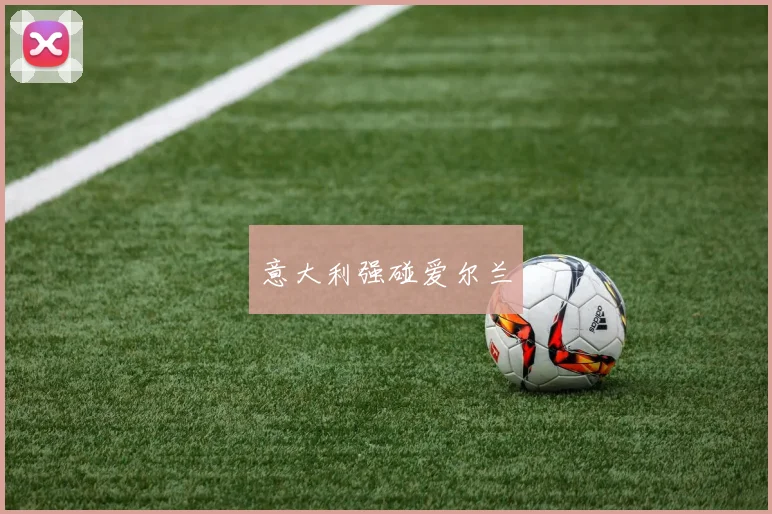 意大利强碰爱尔兰
