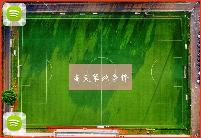 高芙草地争锋