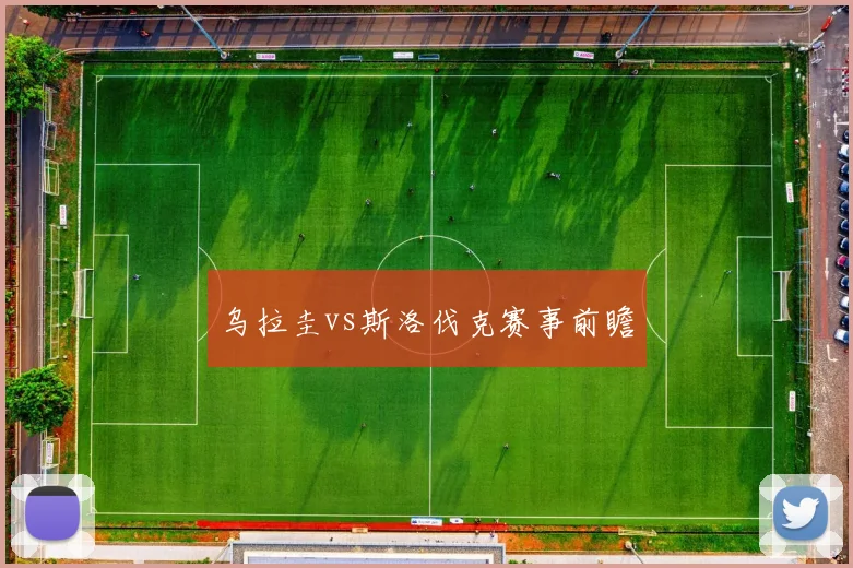 乌拉圭vs斯洛伐克赛事前瞻