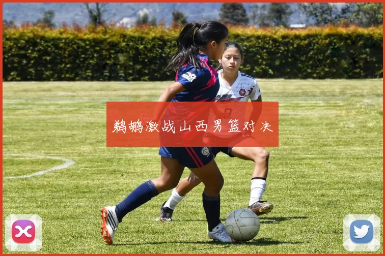 鹈鹕激战山西男篮对决
