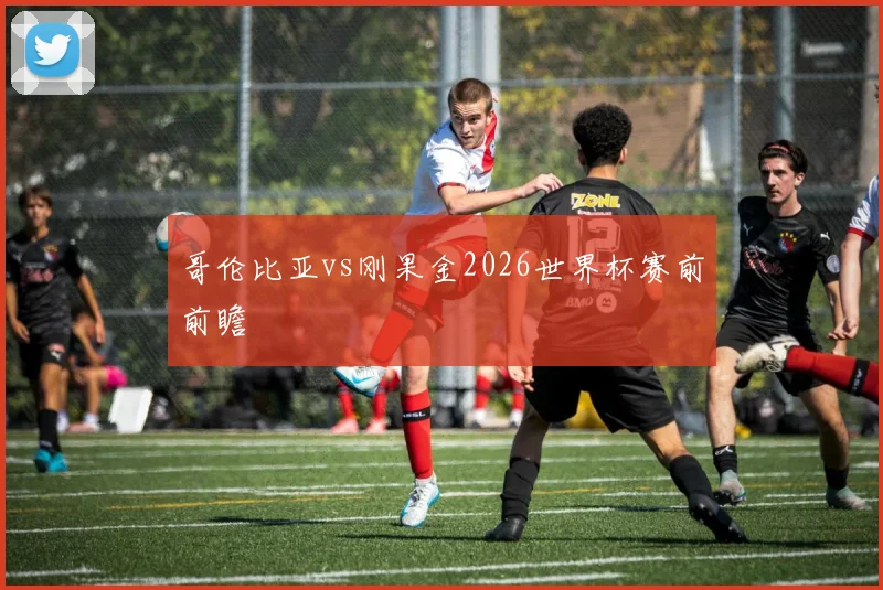 哥伦比亚vs刚果金2026世界杯赛前前瞻
