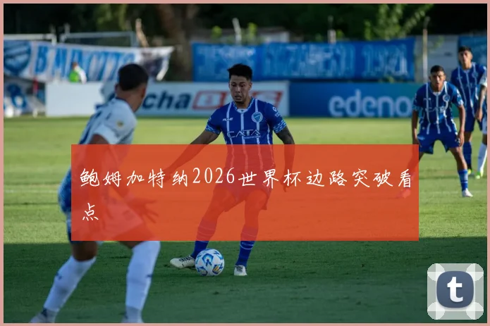 鲍姆加特纳2026世界杯边路突破看点