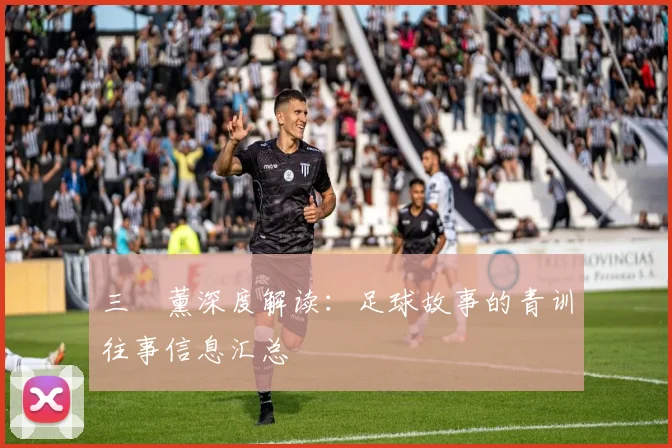 三笘薰深度解读:足球故事的青训往事信息汇总