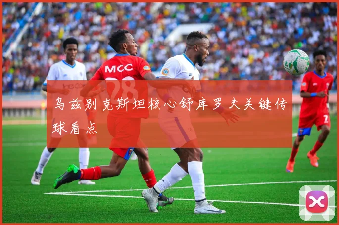 乌兹别克斯坦核心舒库罗夫关键传球看点
